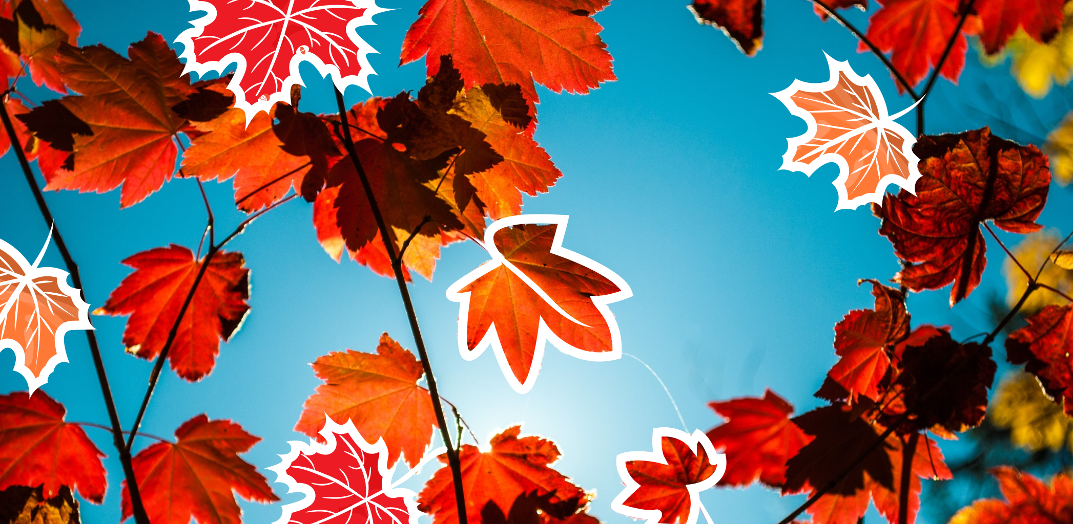 Можно ли начинать строительство осенью